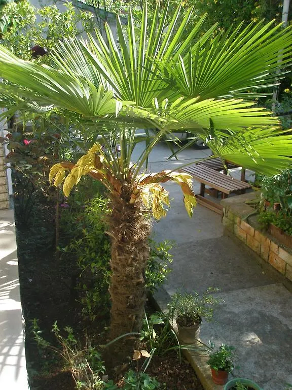 Apartment Rojnic Pula